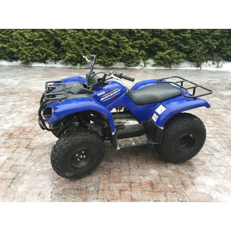Квадроцикл GRIZZLY 125 2556394