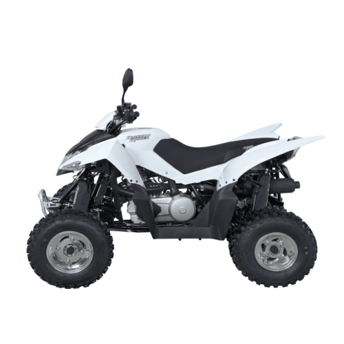 Квадроцикл SYM QuadRaider 300 SD 2574814