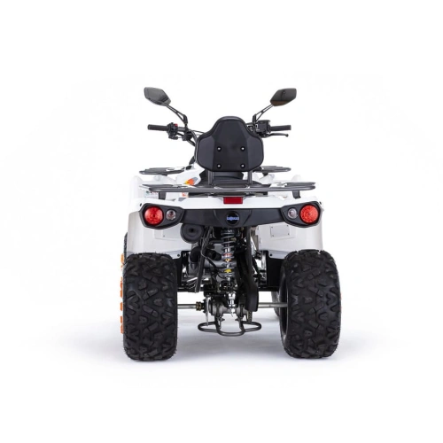 Квадроцикл MOTAX ATV Grizlik 200 Ultra 2546453