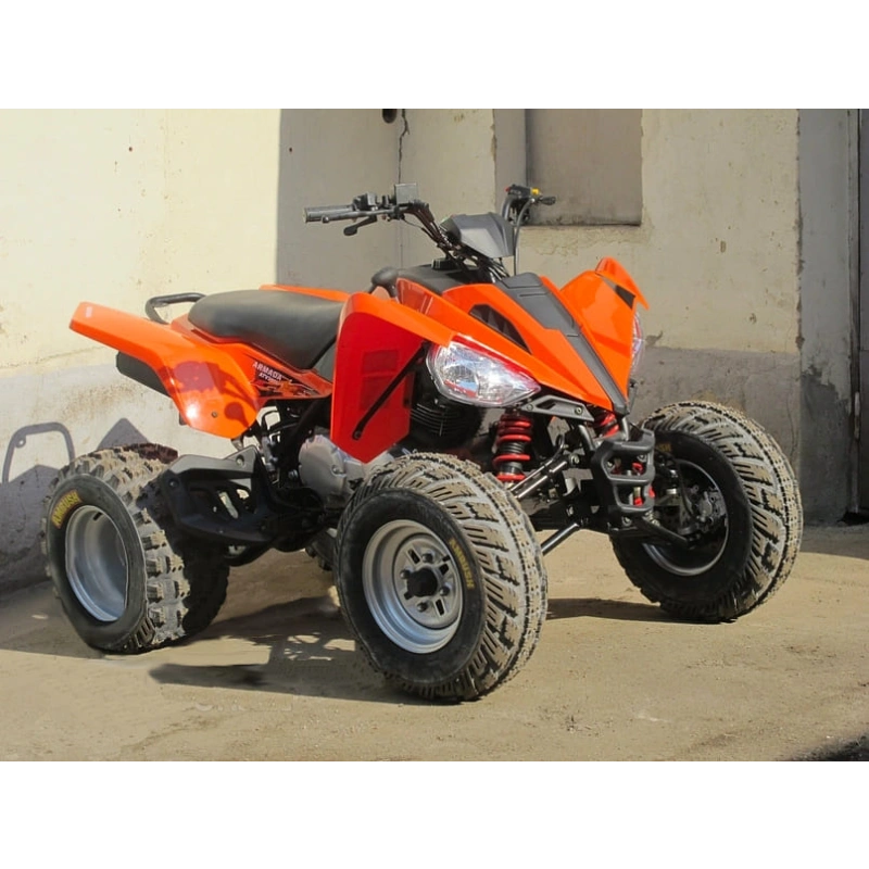 Квадроцикл ARMADA ATV 200L-1 2545611