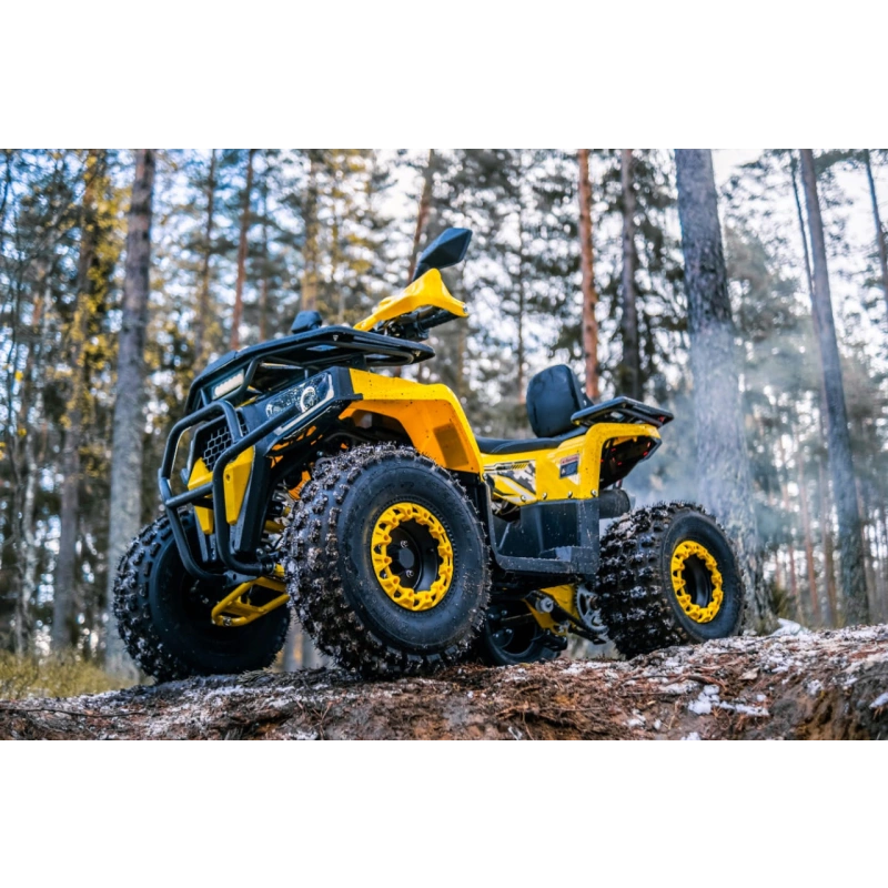 Квадроцикл WELS Thunder Trail 125 Pro