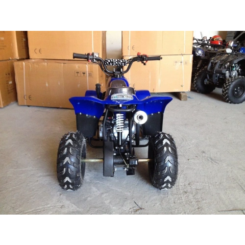 Квадроцикл RAPTOR 110 2587059