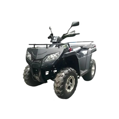 Квадроцикл RATO RT250ST Premium 2589034