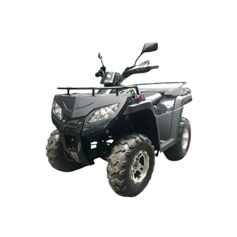 Квадроцикл RATO RT250ST Premium 2589034