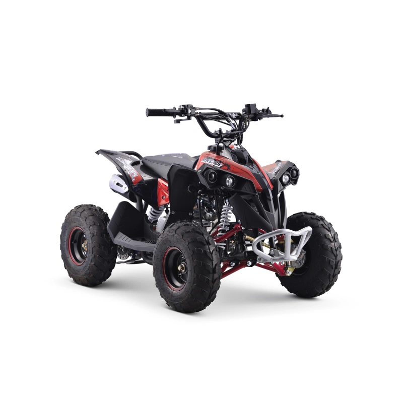 Квадроцикл YACOTA Renegade Mini 250902
