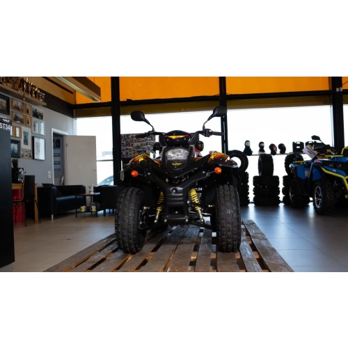 Квадроцикл STELS ATV 110A Hugo