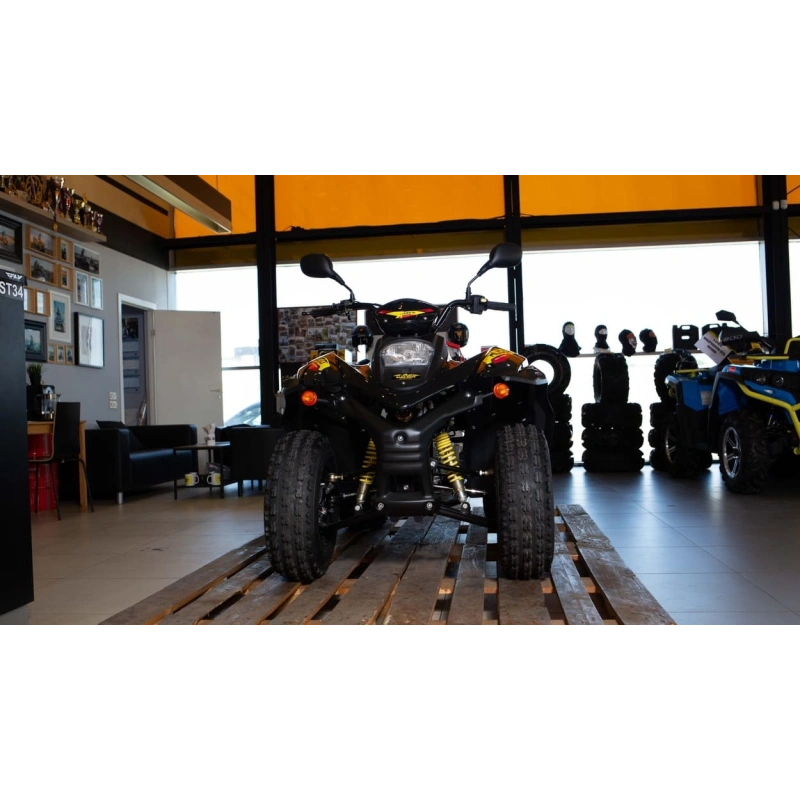 Квадроцикл STELS ATV 110A Hugo
