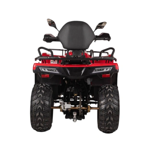 Квадроцикл BIZON YK250 Lux EFI 2591803