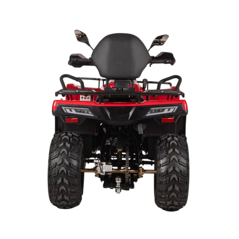 Квадроцикл BIZON YK250 Lux EFI 2591803