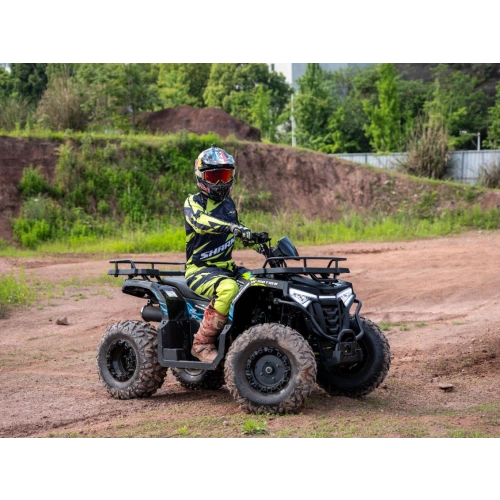 Квадроцикл SHARMAX 300 RX Activator 2594624