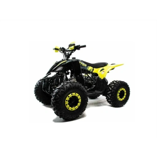 Квадроцикл MOTOLAND ATV Raptor A 125 2591654