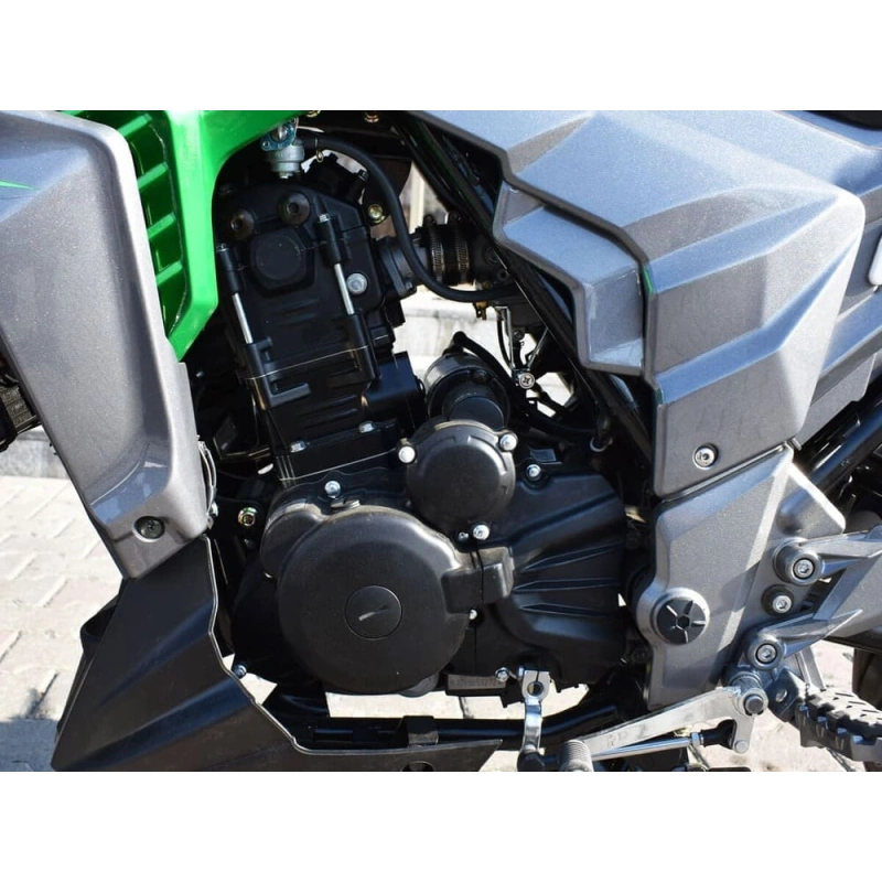 Мотоцикл REGULMOTO T-Leopard 300