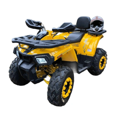 Квадроцикл MOTOLAND 200 Wild Track X 2586884