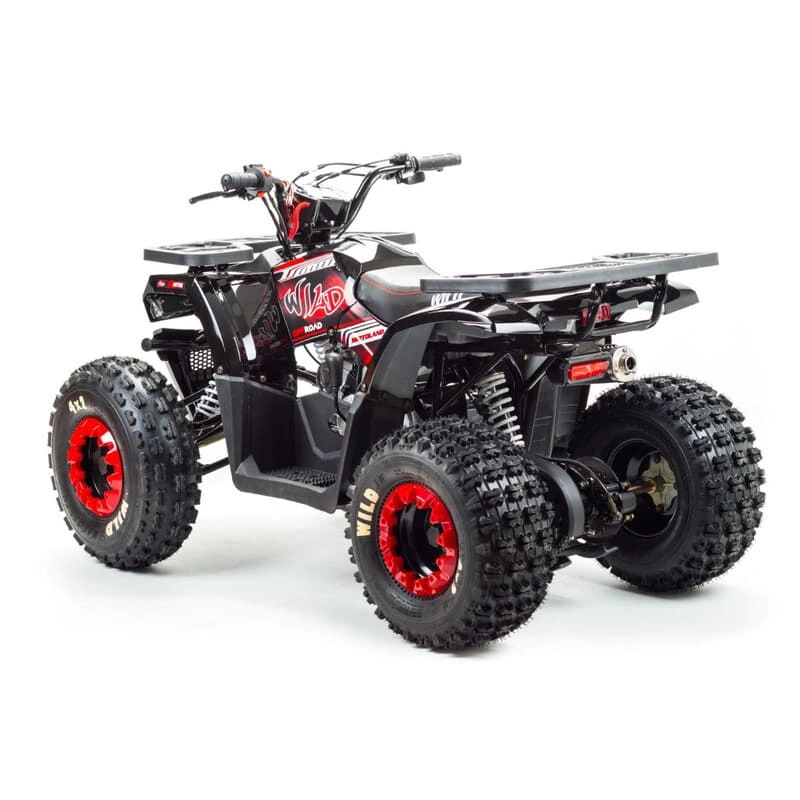 Квадроцикл MOTOLAND Wild 150