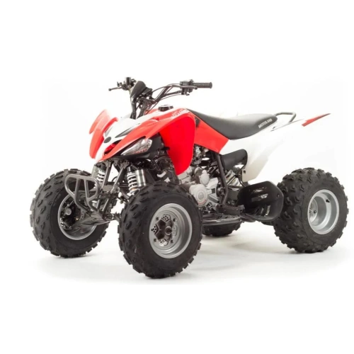 Квадроцикл MOTOLAND 125S (2020 Г.) 248146
