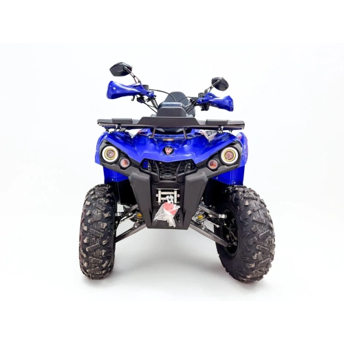 Квадроцикл MOTAX Grizlik 200 ULTRA BIG 2587634