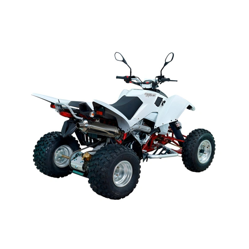Квадроцикл SYM QuadRaider 450 2590768