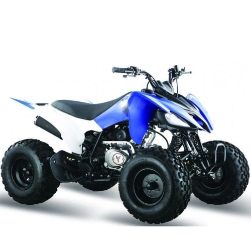 Квадроцикл МОТОМИР Pantera 125