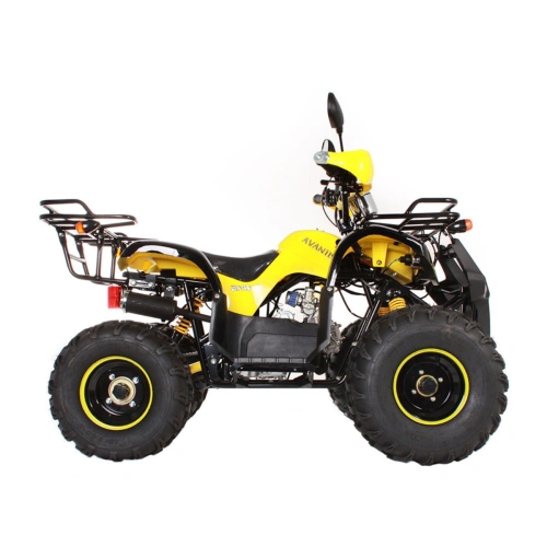 Квадроцикл AVANTIS Hunter 8 Lux 2591468