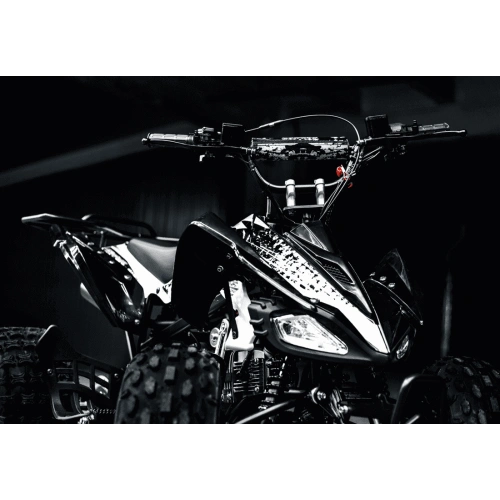 Квадроцикл BSE XT1 Black 2557909