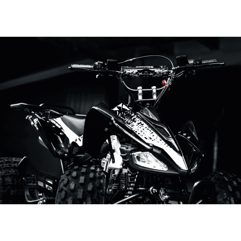 Квадроцикл BSE XT1 Black 2557909
