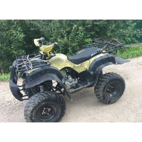 Квадроцикл MOTOLAND 250 Adventure (2021 Г.) 248047