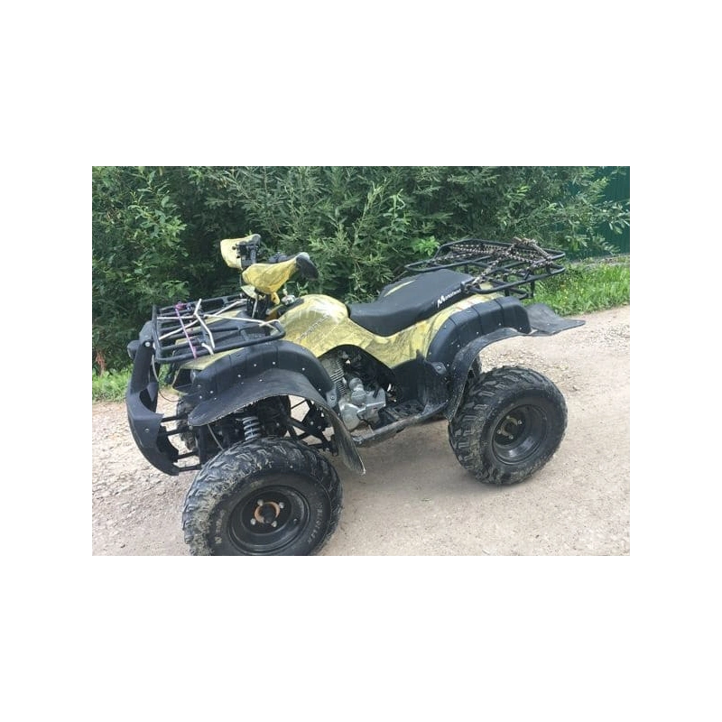 Квадроцикл MOTOLAND 250 Adventure (2021 Г.) 248047