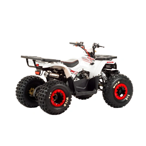 Квадроцикл MOTOLAND 125 Wild 2590767