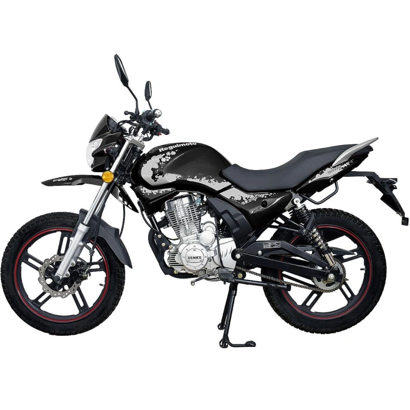 Мотоцикл REGULMOTO SK200-9 2590524