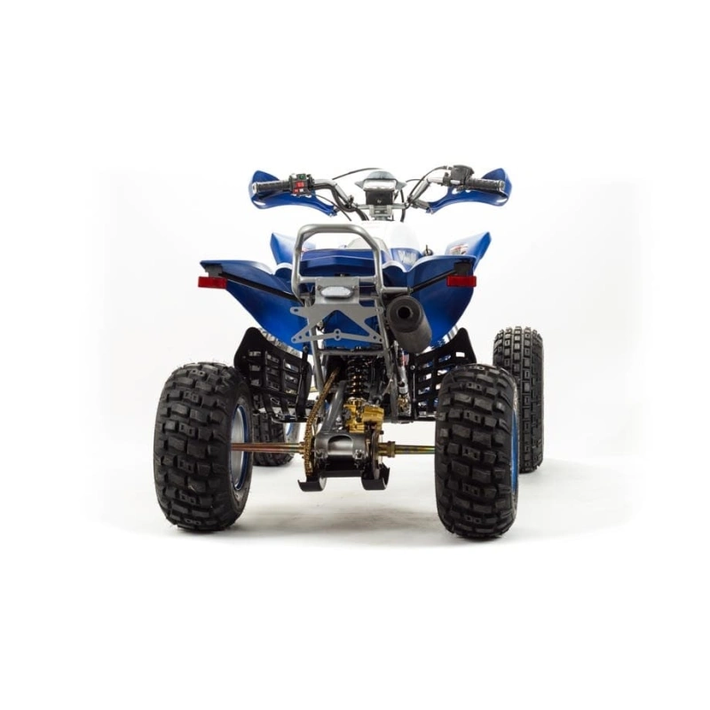 Квадроцикл MOTOLAND 250 Dakar