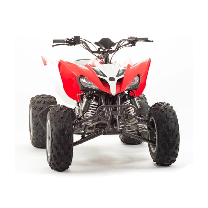 Квадроцикл MOTOLAND 125S (2020 Г.) 248146
