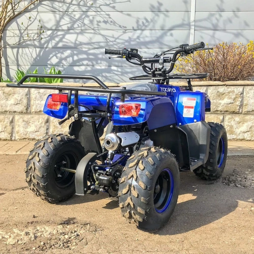 Квадроцикл YACOTA Smarty 110 248075