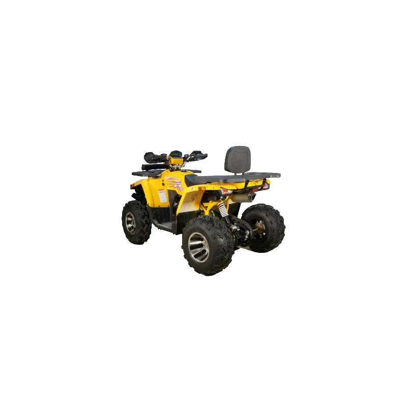 Квадроцикл AVANTIS Hunter 200 Big Premium (Баланс. вал) 2558636