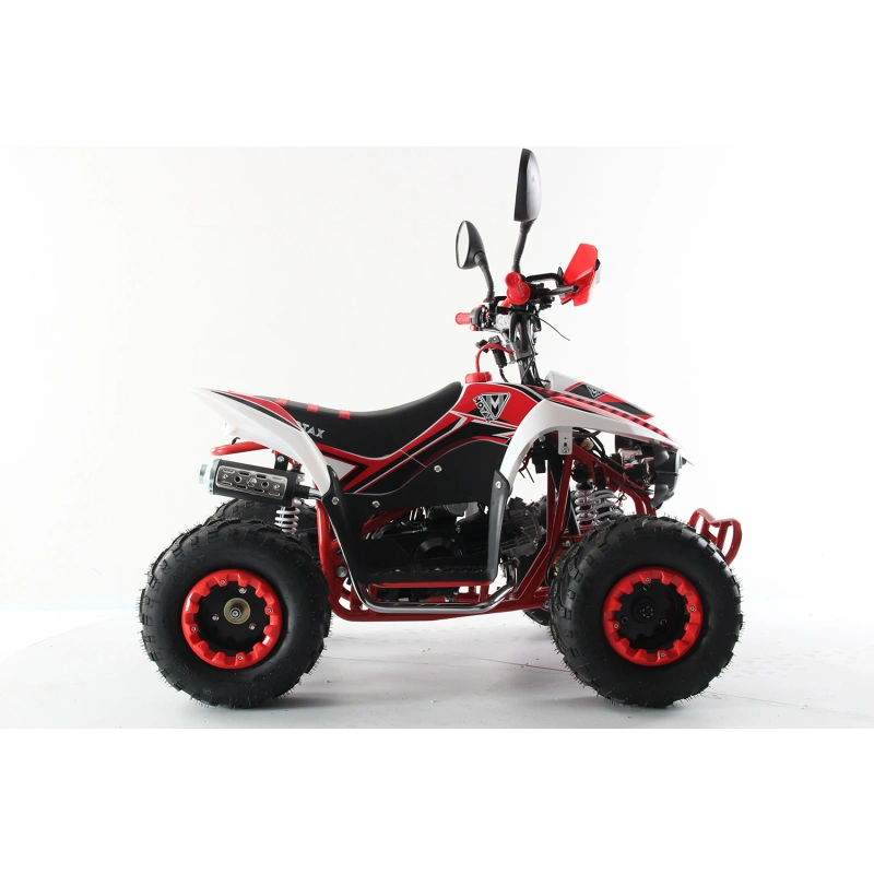 Квадроцикл MOTAX ATV Mikro 110cc 2587427