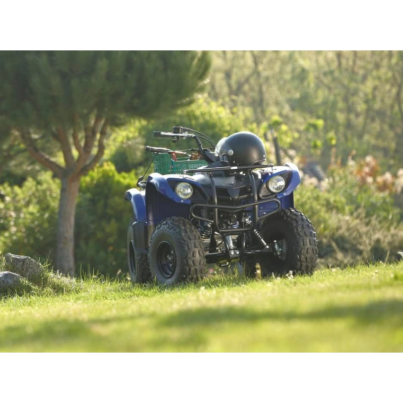 Квадроцикл GRIZZLY 125 2556394