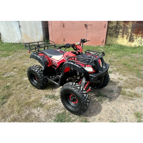Квадроцикл RAPTOR Madman 200 All 2587024