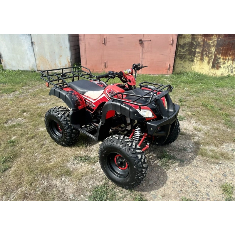 Квадроцикл RAPTOR Madman 200 All 2587024