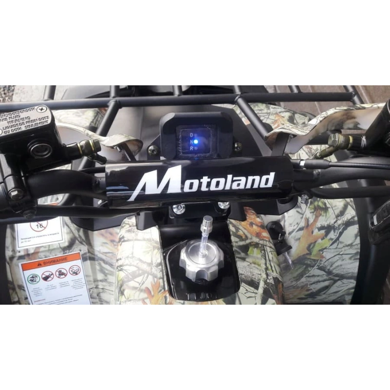 Квадроцикл MOTOLAND 200 All Road (2021 Г.) 248049
