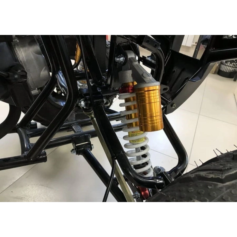 Квадроцикл RAPTOR Max Pro 250 (жёлтый/чёрный) (2024) 248056
