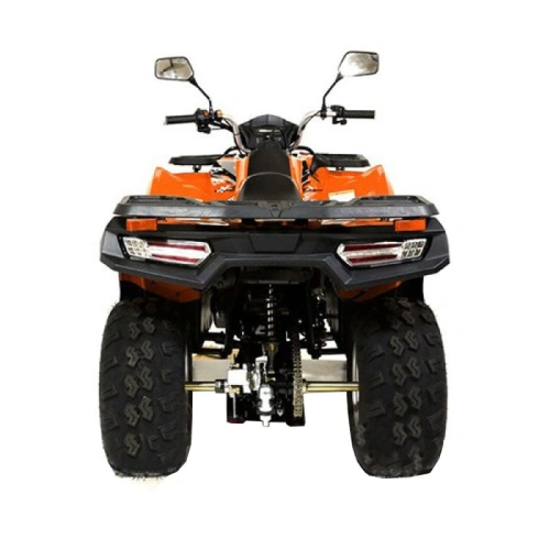 Квадроцикл LONCIN 200 Dominator 2546495