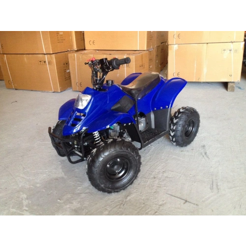 Квадроцикл RAPTOR 110 2587059