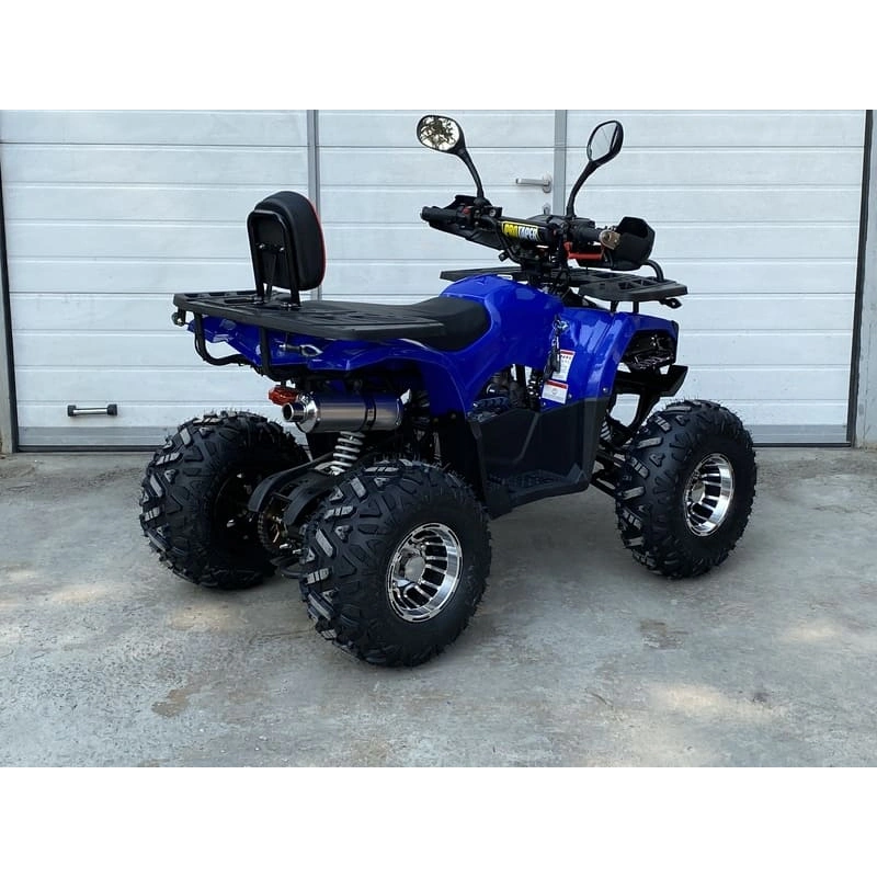 Квадроцикл GRIZZLY Aerox 125cc New 2022 2556371