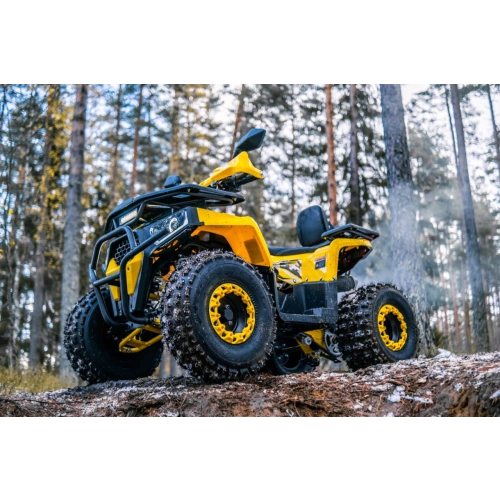 Квадроцикл WELS Thunder Trail 125 Pro 2588936