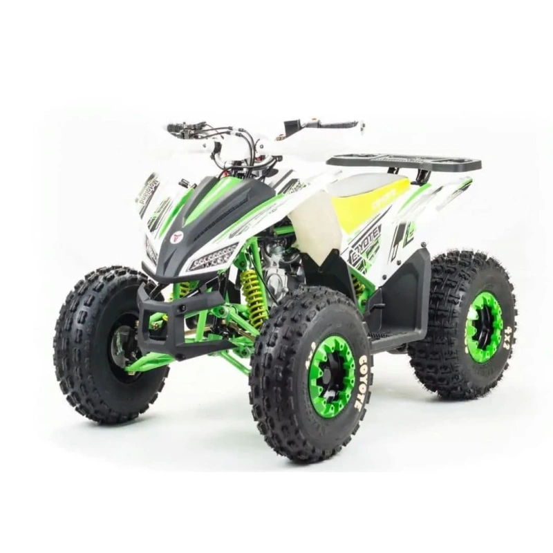 Квадроцикл MOTOLAND 125 Coyote (2021 Г.) 248052