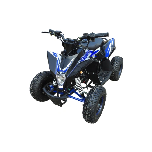 Квадроцикл MOTAX Gekkon 90cc 2587426