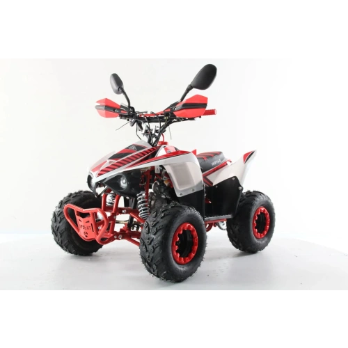 Квадроцикл MOTAX Mikro 110 New 2587633