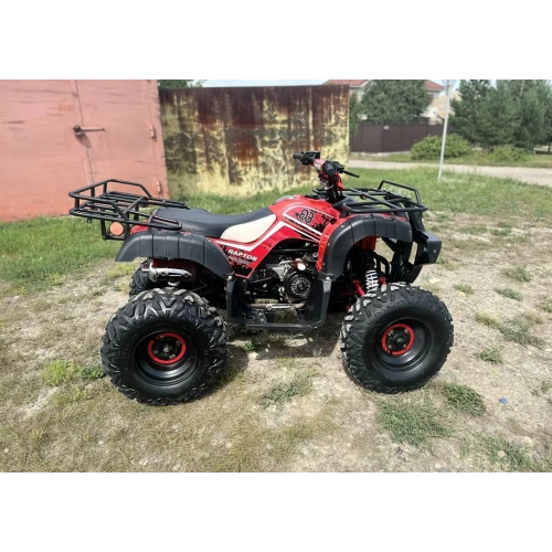 Квадроцикл RAPTOR Madman 200 All 2587024
