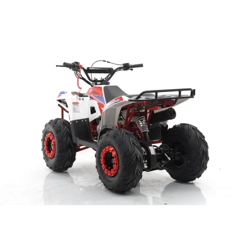 Квадроцикл MOTAX Grizlik A110 2587429
