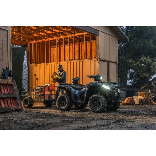 Квадроцикл KAWASAKI Brute Force 750 EPS (2024) (ПСМ) 2587386
