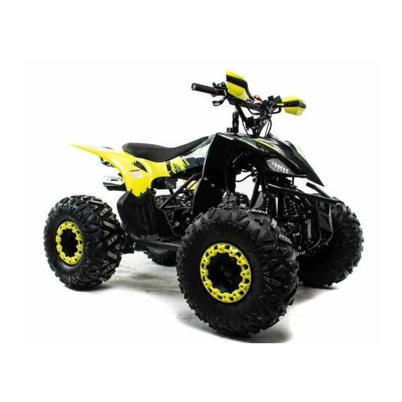 Квадроцикл MOTOLAND 125 Raptor 2591794
